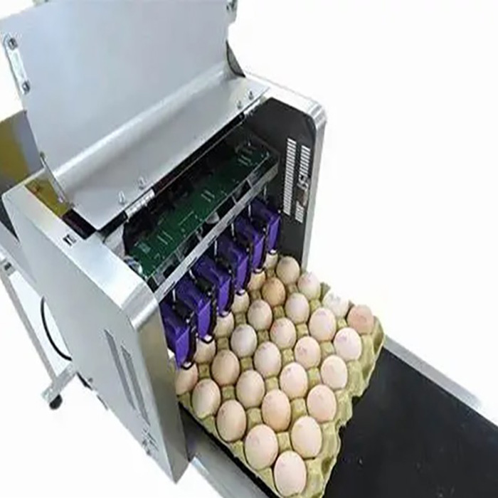 IPS-8600e High-Speed Six Printhead Egg Inkjet Printer