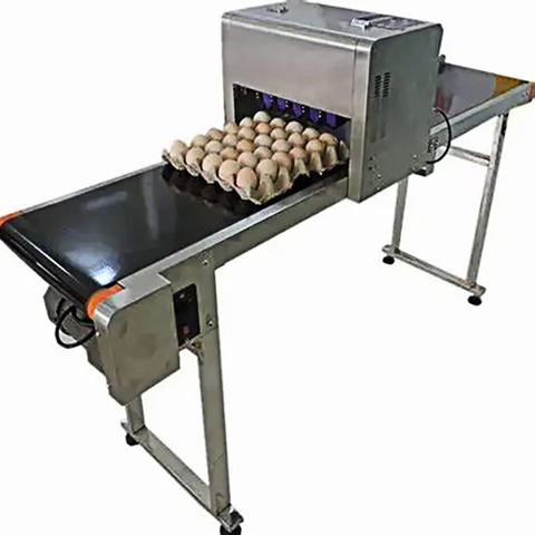 IPS-8600e High-Speed Six Printhead Egg Inkjet Printer